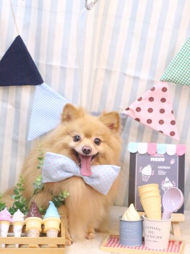 20250501リーくん